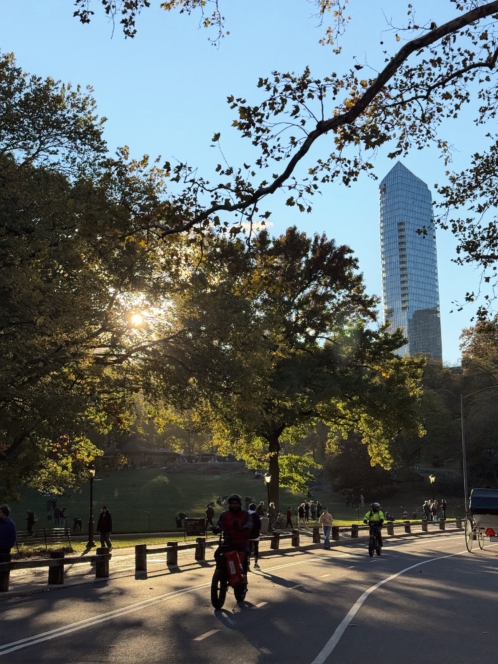 Central Park Sunset