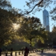 Central Park Sunset
