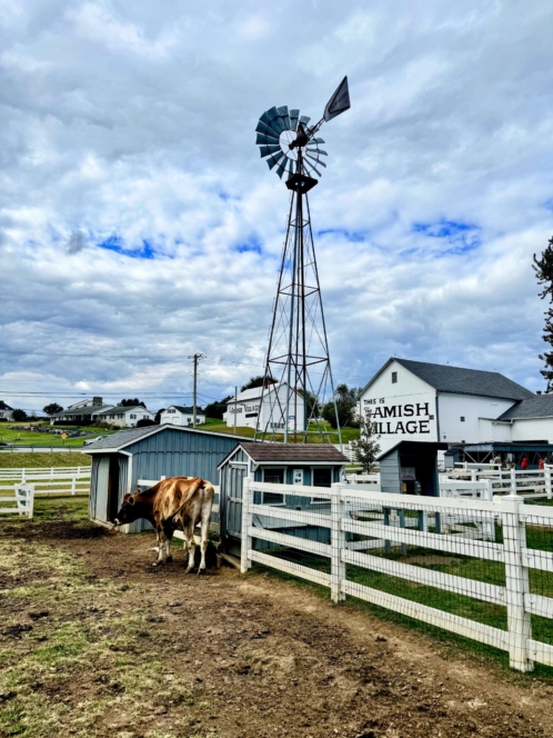 The Amish Village