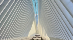 The Oculus - World Trade Center NYC