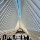 The Oculus - World Trade Center NYC