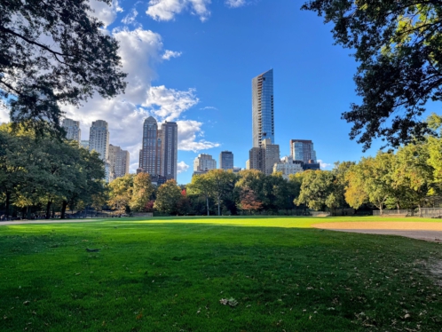 Central view to Billionaire's Row