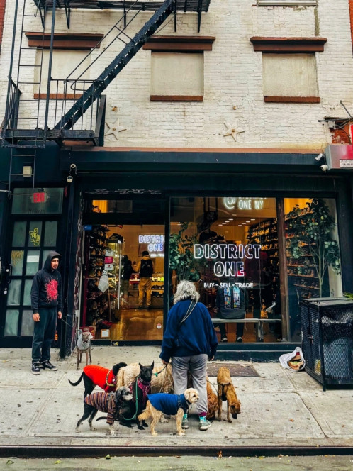 Lower East Side Vibe