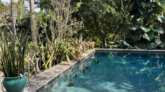 The Kampong - This serene scene is the historic limestone pool at The Kampong, a nine-acre botanical garden located on Biscayne Bay in Miami's Coconut Grove neighborhood.