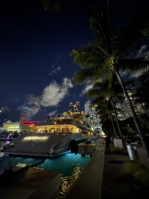 Lionheart, Miami Nights